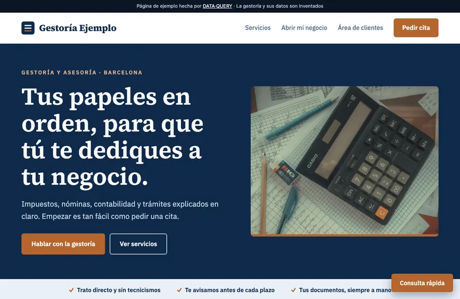 Screenshot of the demo website for an accounting firm