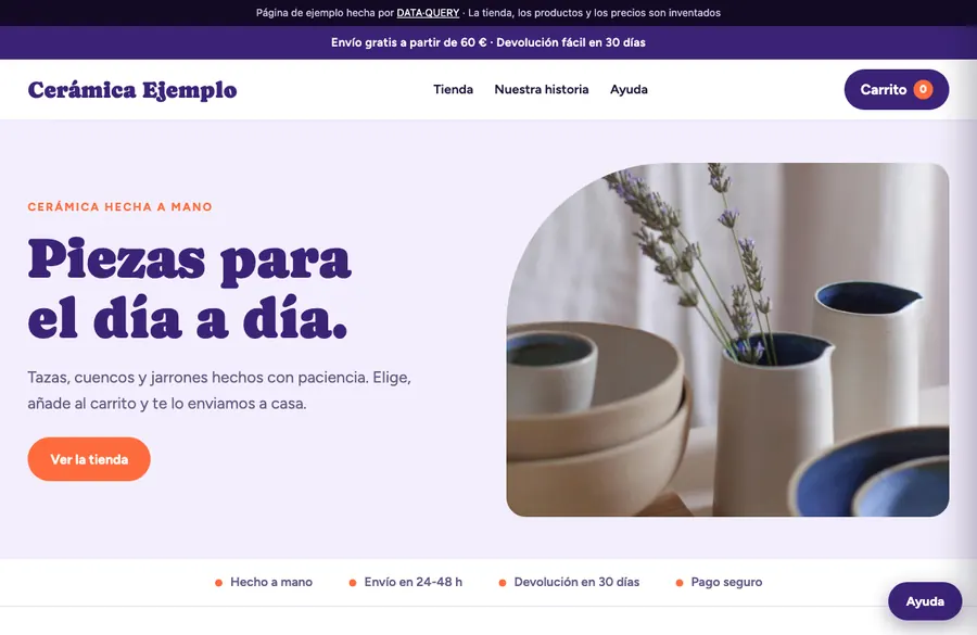 Screenshot of the demo website for an online shop